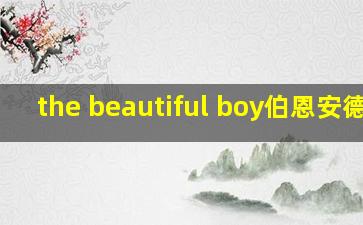 the beautiful boy伯恩安德森